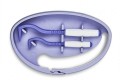 Kleszczołapki® Tick Twister® - Clipbox 8